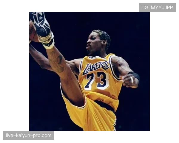 罗德曼篮板对比安东尼防守强度拉开球队内线优势