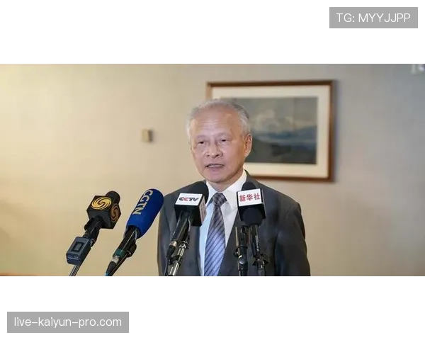 乔纳森·戴维强强对话中的关键作用解析